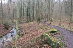 Rundlauf-Kleinostheimer-Wald-12