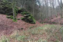 Rundlauf-Kleinostheimer-Wald-34