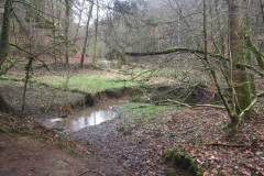 Rundlauf-Kleinostheimer-Wald-7