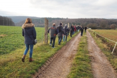 Auf dem Weg zum Bison-Weideland