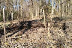 Waldkindergarten-Mainaschaff-18