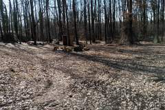 Waldkindergarten-Mainaschaff-19