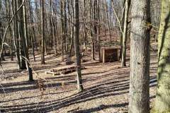 Waldkindergarten-Mainaschaff-4