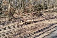 Waldkindergarten-Mainaschaff-6