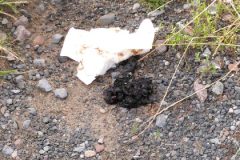 Notdurft an der Calpam