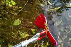 Kinderspielzeug, vom Winde verweht oder achtlos entsorgt?