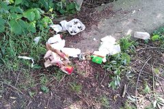 Zeugnisse eines Vespers/Picknicks