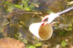 typisch: To-Go Kaffeebecher im Main