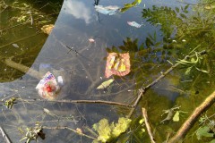 Lebensmittelverpackungen im Main