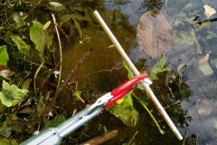 Strohhalme waren auch mit dabei