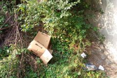 Aktion-Sauberer-Landkreis-Clean-Up-Day-2021-12