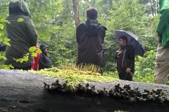 Waldbehung-mit-Niklas-2021-14