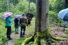 Waldbehung-mit-Niklas-2021-15