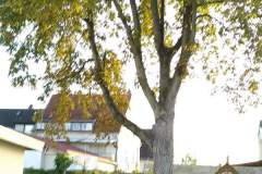 Kita-Eroeffnung-2021-10-22