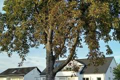 Kita-Eroeffnung-2021-10-27