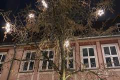 Kleinostheim-im-Advent-2021-90