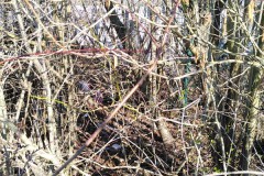 sauberes-Kleinostheim-gesammelter-Muell-3