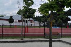 Baeume-Schule-krank-10