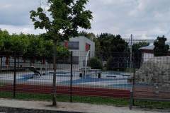 Baeume-Schule-krank-7