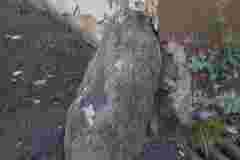 P6100266