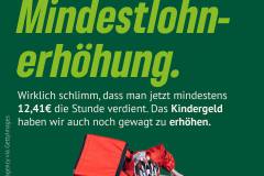 Gruene-sind-schuld-Erfolge-der-Gruenen-2