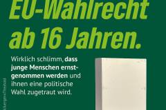 Gruene-sind-schuld-Erfolge-der-Gruenen-6