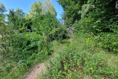 Beispiel-Spielplatz-Pfalz-8