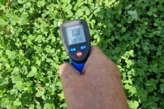 Temperaturmessung-Schulhof-Brentanoschule-6