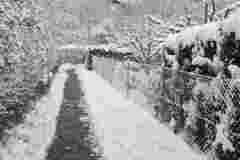 Kleinostheim-im-Schnee-Jan-2026-11