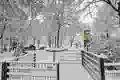 Kleinostheim-im-Schnee-Jan-2026-13