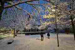 Kleinostheim-im-Schnee-Jan-2026-47