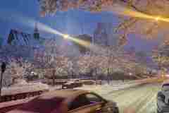 Kleinostheim-im-Schnee-Jan-2026-50