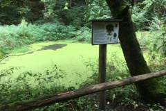 Steinbachtal-17