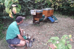 Stolz des Imkers: der Bienenstand