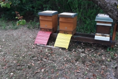 Weitere Bienenstände