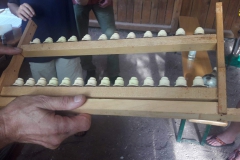 Bienenvortrag-2019-7