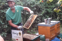 Bienenvortrag