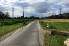 Rennstrasse-2020-07-16