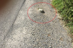 Rennstrasse-2020-07-5