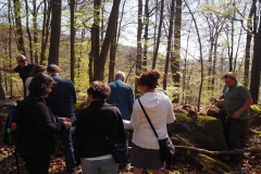 Rohrberg Spessart Grüne 7