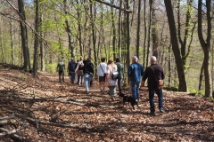 Rohrberg Spessart Grüne 14