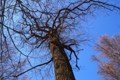 Rohrberg Spessart Grüne 16