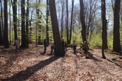 Rohrberg Spessart Grüne 17