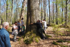 Rohrberg Spessart Grüne 19