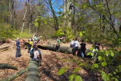 Rohrberg Spessart Grüne 26