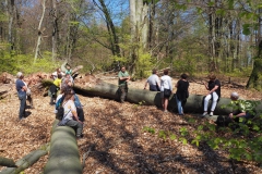 Rohrberg Spessart Grüne 27