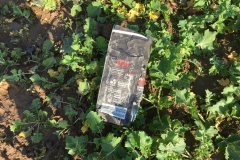 Verwehte Flasche im nahegelegenen Acker