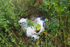 Wald-Exkursion-Juli-2019