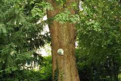 Habitate-Trier-10