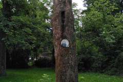 Habitate-Trier-14